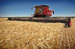 Case IH Axial-Flow 8230 2012 года